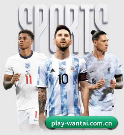 万泰娱乐登陆 APP 界面